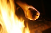marshmallow marshmallow