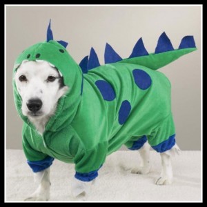 dog-dinosaur-costume-toy-story-rex