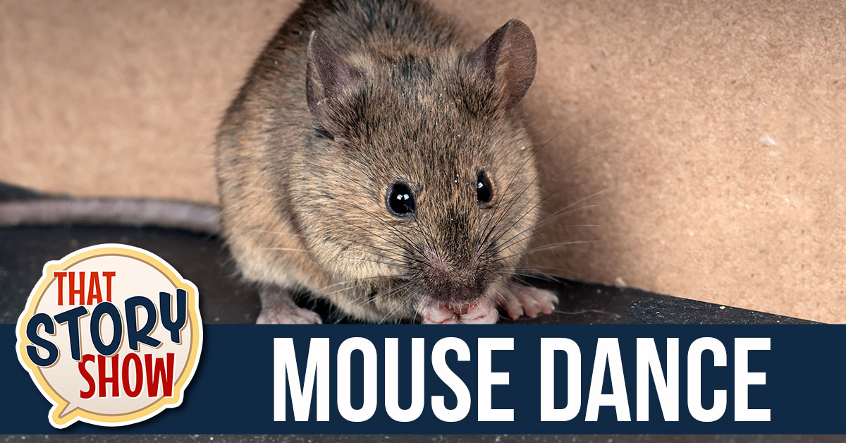 317 Mouse Dance That Story Show
